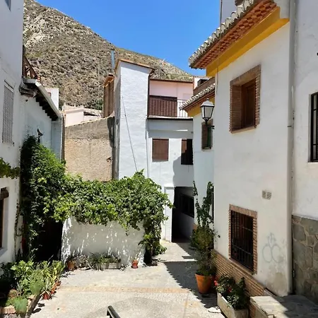 Abuelos
